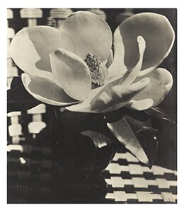 677PF1436 7HQ94 1 copy1 MAN RAY AT SOTHEBYS PARIS | THE LARGEST AND MOST IMPORTANT SALE OF THE DADA & SURREALIST ICON