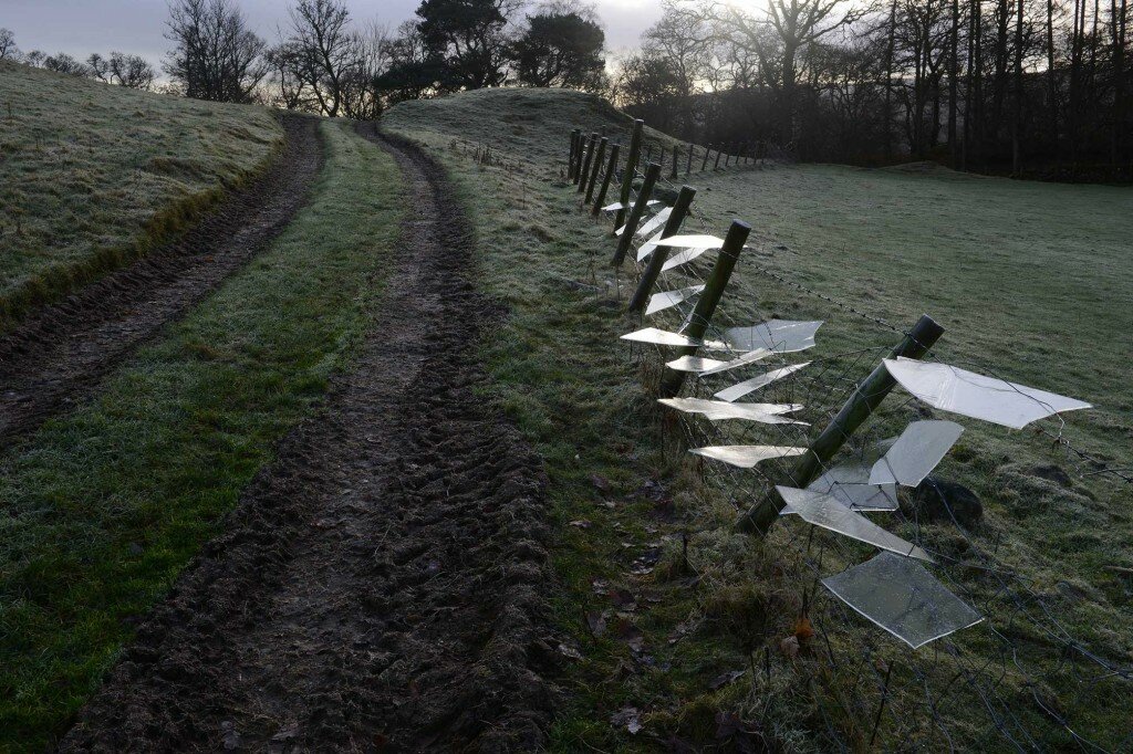 Andy Goldsworthy. Ice placed in fence netting and wire 2013. © Andy Goldsworthy 1024x682 ZsONA MACO 2016 Our 21 favourite works